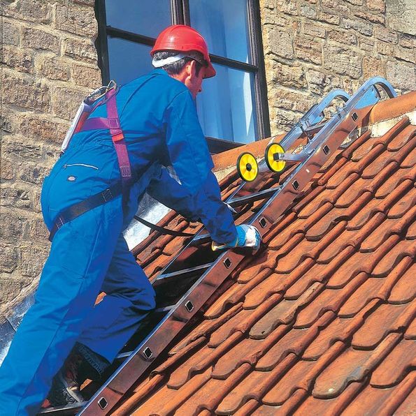 Telescopic on sale ladder woodies
